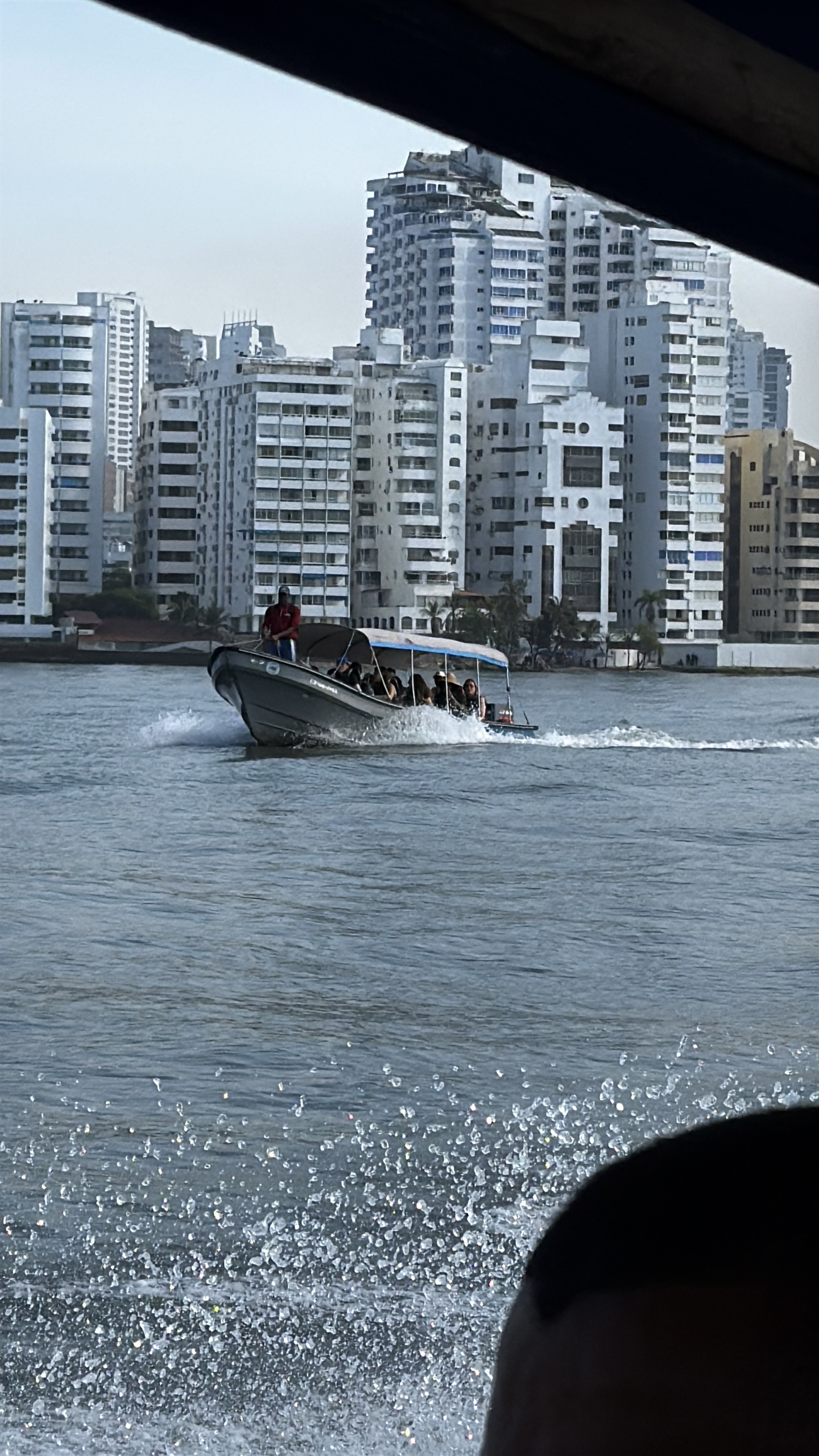 Bay boat tour
